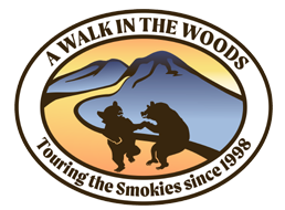 AWITW Logo