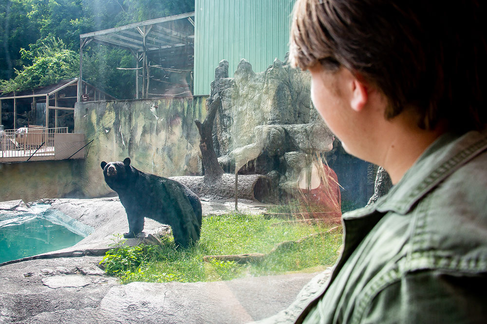 Ober Gatlinburg (Slider Image 6) | Gatlinburg Attractions