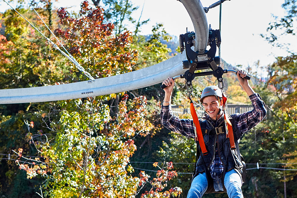 Rowdy Bear Mountain (Slider Image 3) | Gatlinburg Attractions