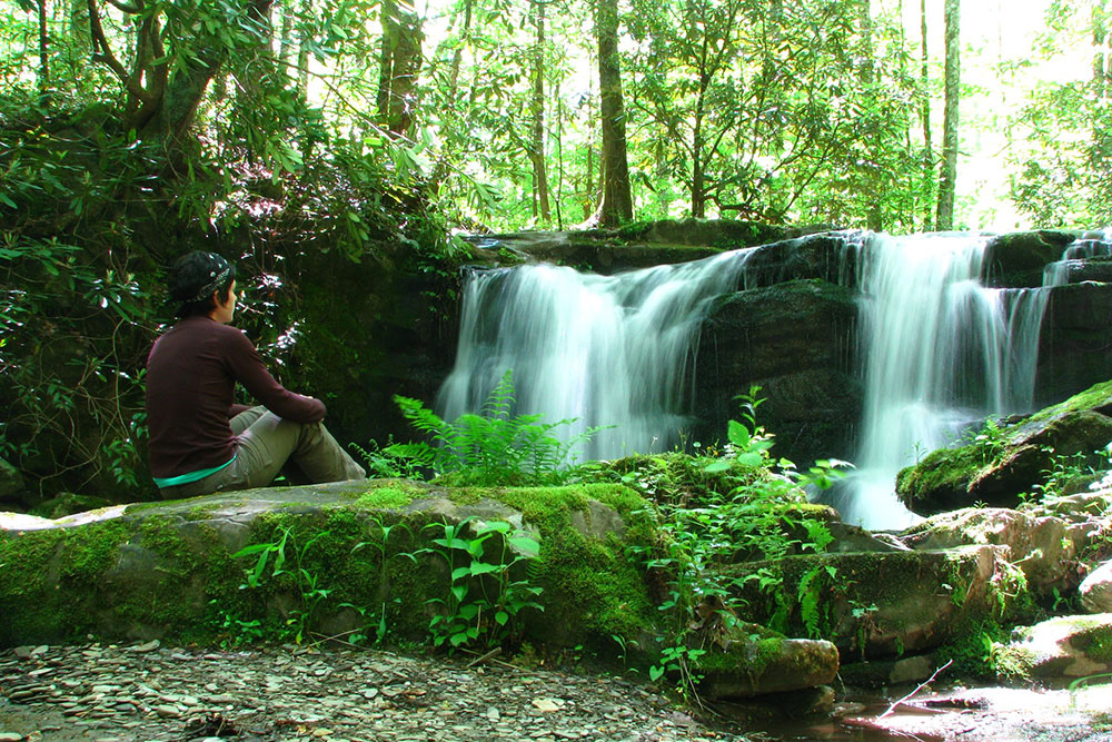 A Walk in the Woods (Slider Image 2) | Gatlinburg Attractions