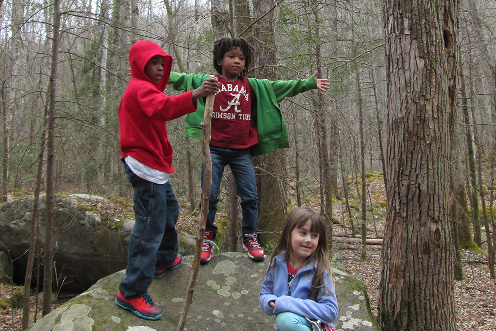 A Walk in the Woods (Slider Image 3) | Gatlinburg Attractions